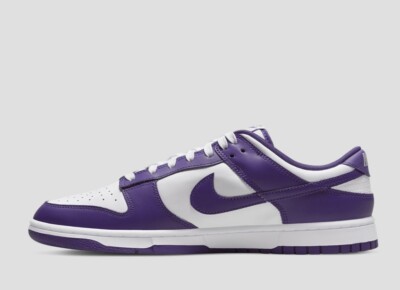 NIKE DUNK LOW RETRO DD1391-104 PURPLE men's shoes