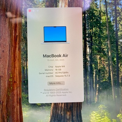 Apple MacBook Air 13