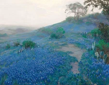 Julian Onderdonk Blue Bonnet Field Early Morning San Antonio Texas Giclee Print