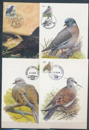 XE60230 Belgium 1996 -2005 animals fauna flora birds maxicards used