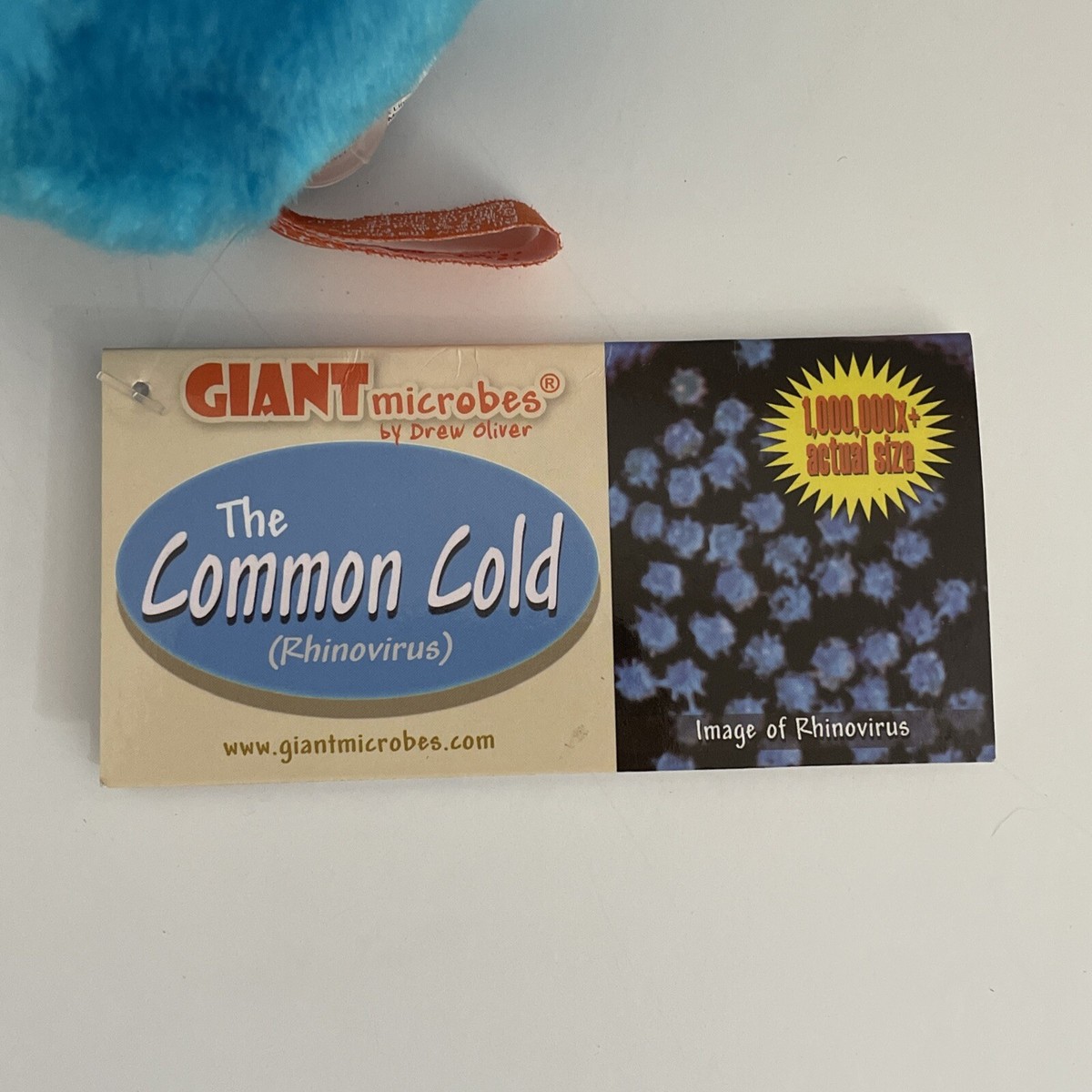 New Giant Microbes Common Cold Rhinovirus 4