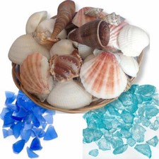 Seashells Sea Glass Home Decoration: Natural Sea Shell Mix: Blue Seaglass