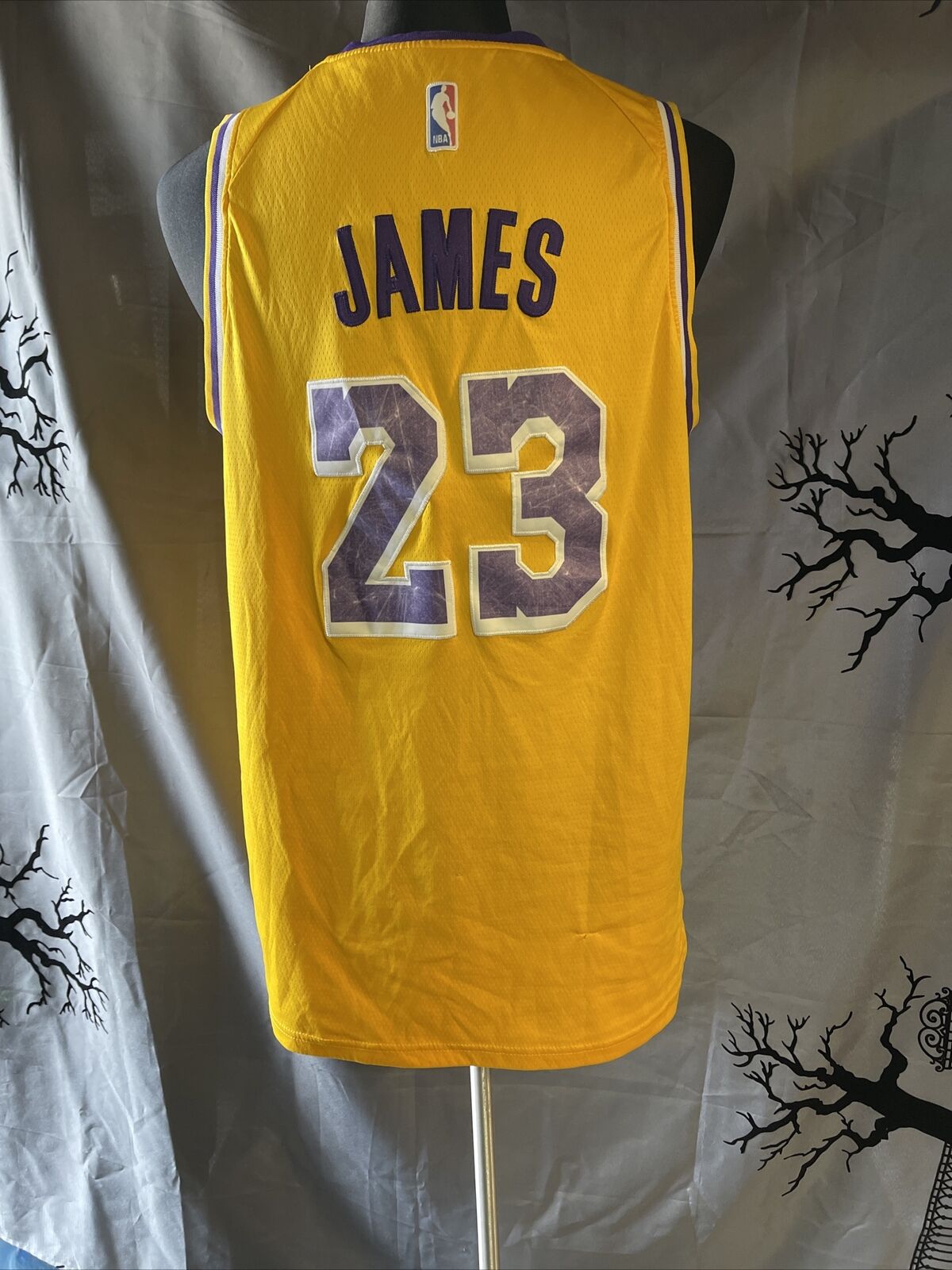 Lebron James #23 LAKERS Purple SWINGMAN WISH Nike Jersey Sz (52
