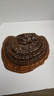appears to be a dried specimen of a polypore fungus — photo 1