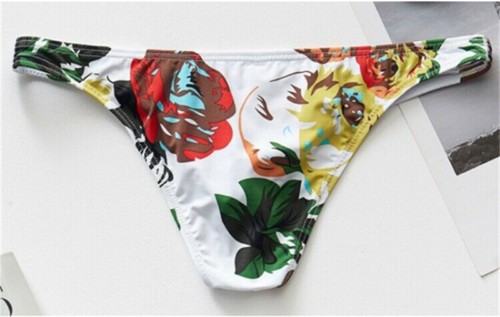 Men Beach Swimsuit Bikini Bathing Suit Trunks Underpants Low Waist Swim Briefs - Picture 12 of 27
