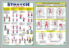 FITNESS FOR GOLF Stretching Workout Routine Professional 20x28 2-POSTER Set