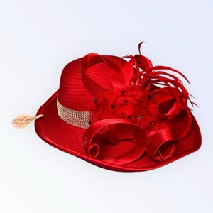 Ashro Hats | eBay