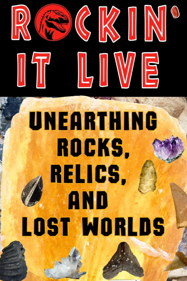 ROCKS, FOSSILS, ARTIFACTS & More! Affordable flat rate shipping. Jump in!