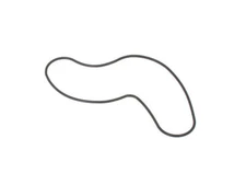 For 2001-2020, 2022 Acura MDX Water Pump Gasket 31276ZFPW 2014 2005 2007 2002