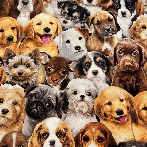Adorable Pets DOGS 100% Cotton Quilting Fabric - Fat Quarter FQ 45cm x 55cm BN - Picture 16 of 20