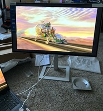 Philips Computer Monitor