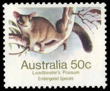 AUSTRALIA 793 (SG796) - Leadbeater's Opossum "1981 Printing" (pa84607+)