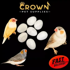 Finch FAKE EGGS Solid Plastic FOR Finches, Dummy STOP LAYING & BREEDING Ct 7