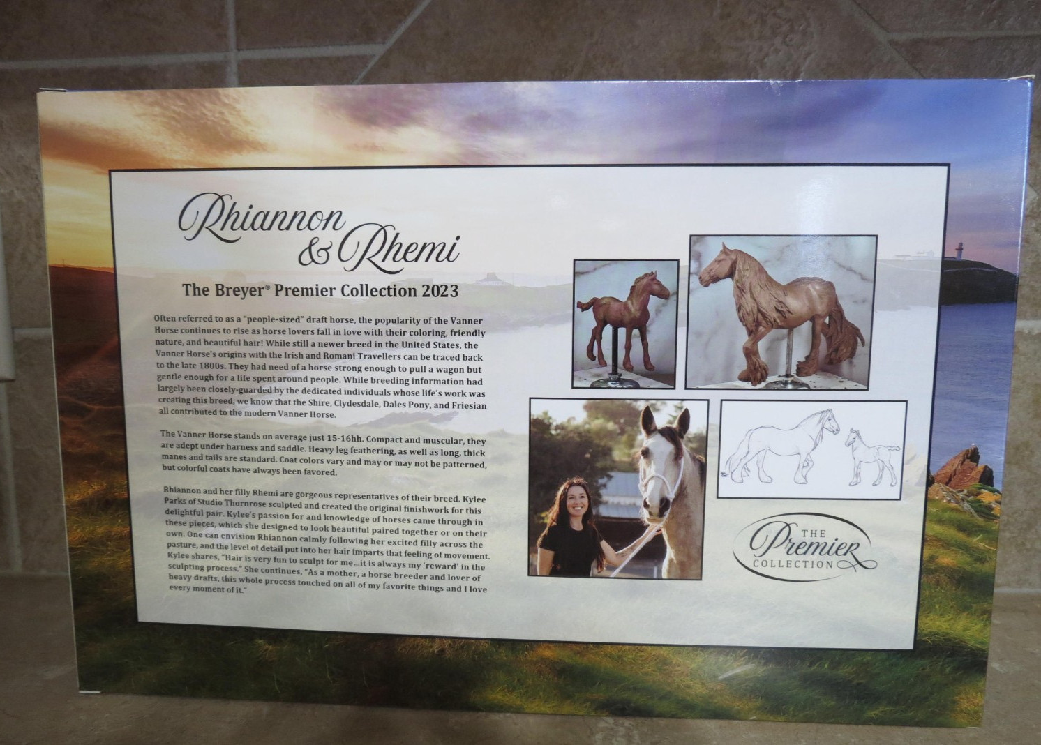 New Open box Breyer Rhiannon Rhemi Premeir club 2023 Vanner horses