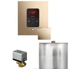 Mr Steam BBS Basic Butler Package Steam Shower Control Package - Gold