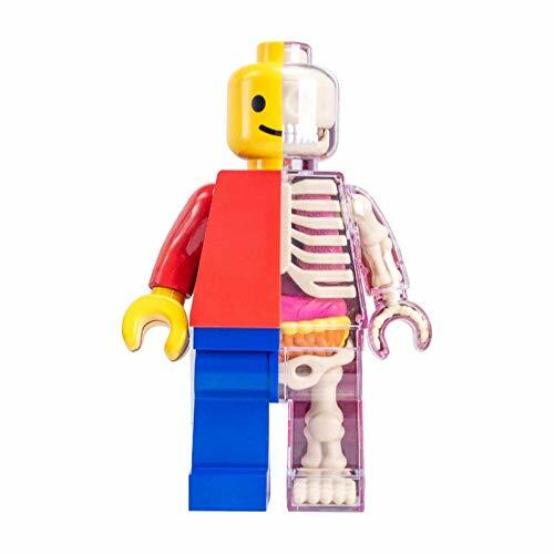 lego anatomy figure