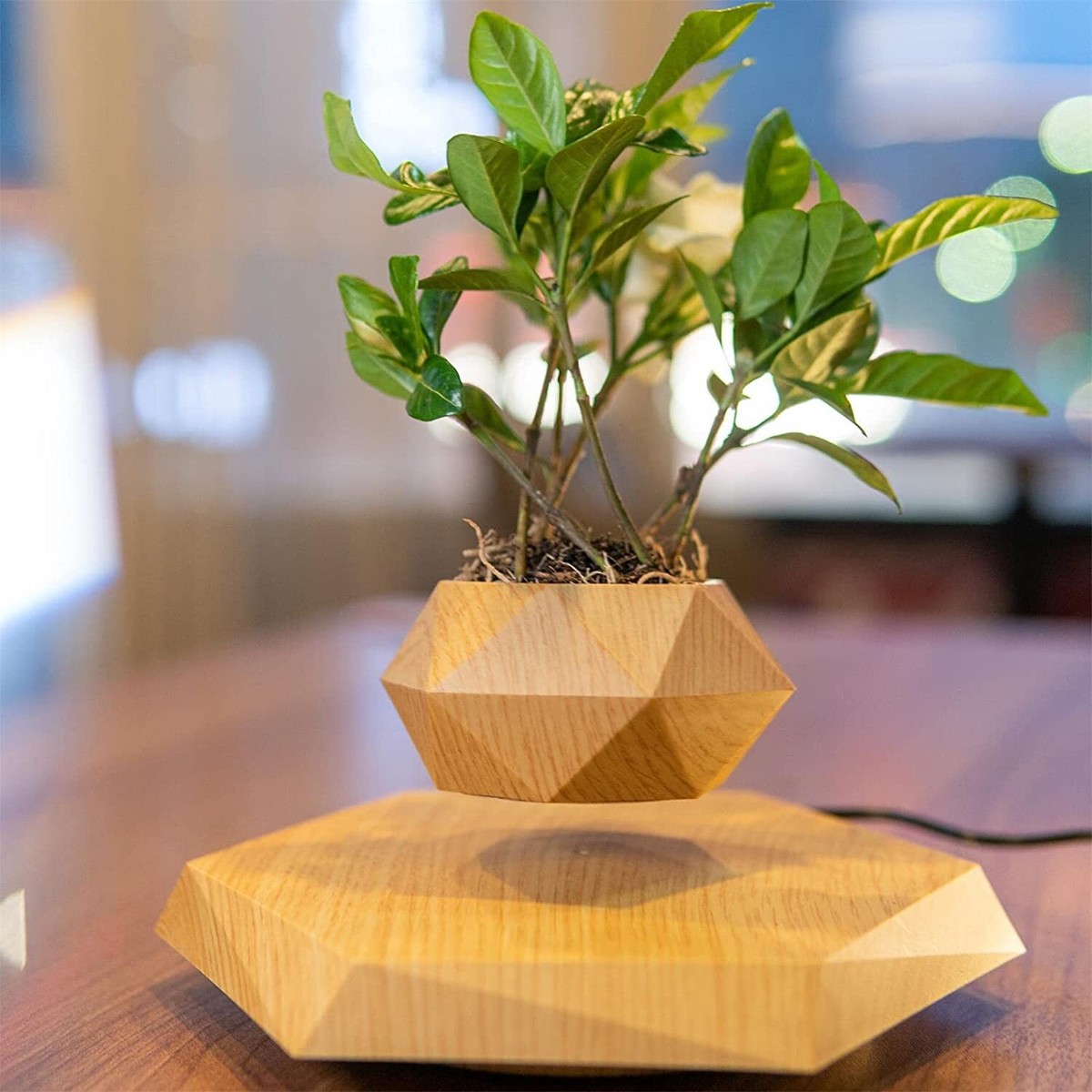 Magnetic levitation planter is suspended in the Air Marbling