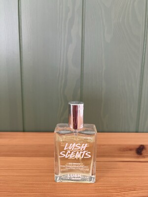 Lush Kitchen Celebrate Rare Collectible