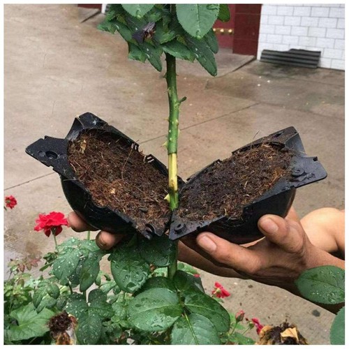 5/10PCS Plant Rooting Device Grow Graft Box High Pressure Propagation Ball S M L - Picture 5 of 13