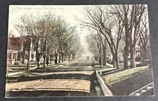 Postcard: Elm Shaded Street Trees Dirt Street ~  Red Wing, Minnesota 1907