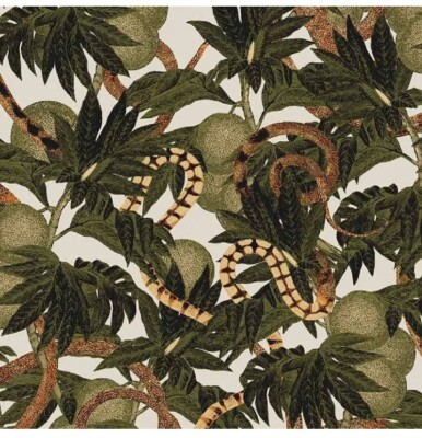 Cabinet Of Curiosities Khroma Wallpaper By Masureel New! Jungle, Botanical