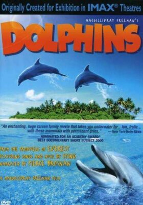 Dolphins (IMAX Large Format - Windows Media High Definition).