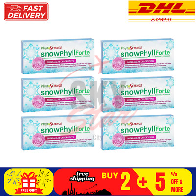 6 X Phytoscience Snowphyll Forte Snow Algae Chlorophyll & Mulberry Leaf Extract