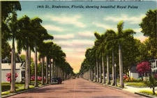 Vintage Postcard- 80390. ROYAL PALS, BRADENTON FL. UnPost 1930