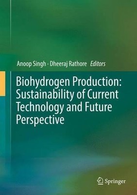 Biowasserstoffproduktion: Nachhaltigkeit der aktuellen Technologie... - 9788132235750
