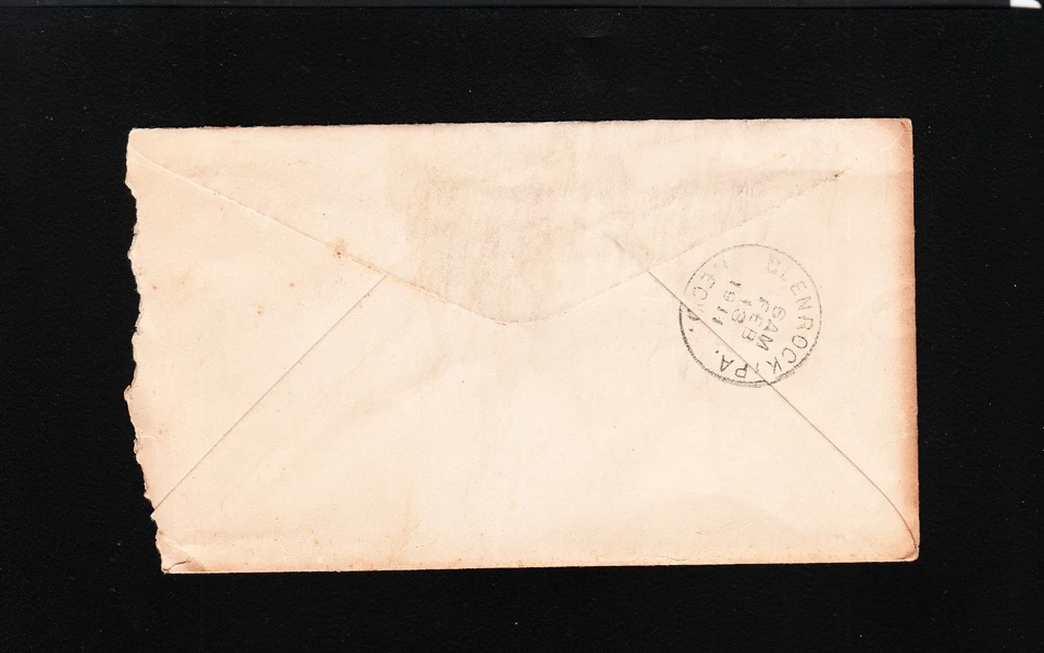 Royal Caviary Guinea Pigs Breeder York PA 1911 Flag Cancel & Letterhead 5z  - Image 3 of 4