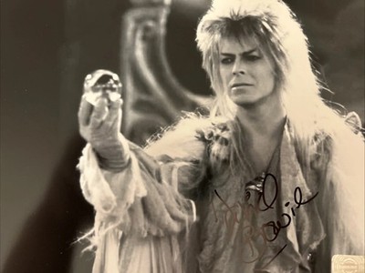 David Bowie 8x10 Autographed Photo With COA