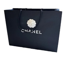 Chanel Classic Luxury Shopping Gift Bag 12.25 x 17x 5 Rose