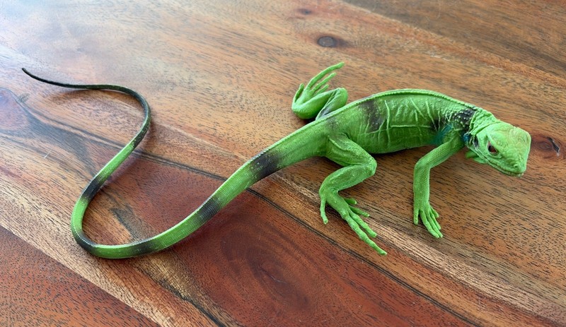 Vintage 1997 Safari Ltd Iguana 2583-29 Lizard Figure Toy Retired Realistic Anima