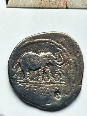 Römische Republik - Denarius- DENAR  49-48 v.Chr.  - Julius Caesar  - 3,26 gr.