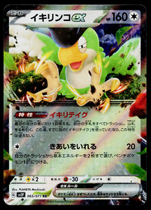 Squawkabilly ex 065/071 Snow Hazard