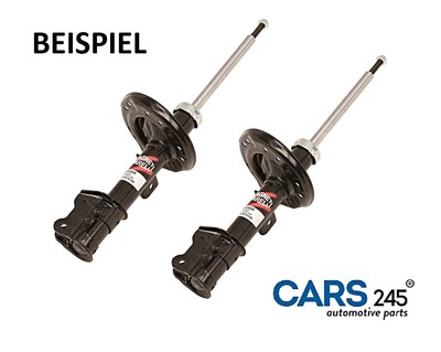 NEU x2 Stk Stoßdämpfer Hinterachse Für NISSAN RENAULT Qashqai | eBay 