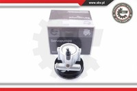 Esen SKV Servopumpe FüR Renault Megane Scenic JA0/1_ Clio II Bb_ Cb_ KC0/1_