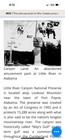 ORIGINAL CANYON LAND ALABAMA PARK TOURIST DECALS NOS 1950-60 TRAVEL GAS OIL 6LOT — photo 3
