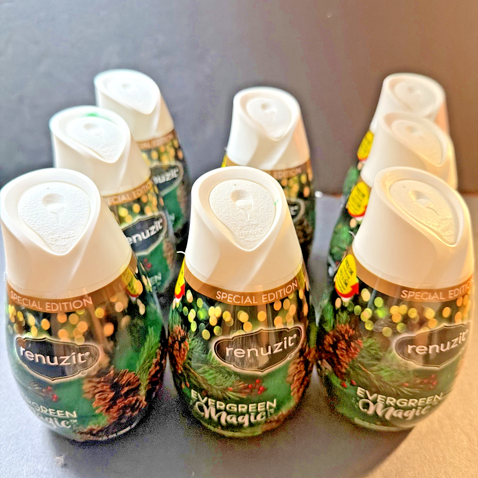8 Renuzit Special Edition EVERGREEN MAGIC Scent Solid Gel Air Freshener ...