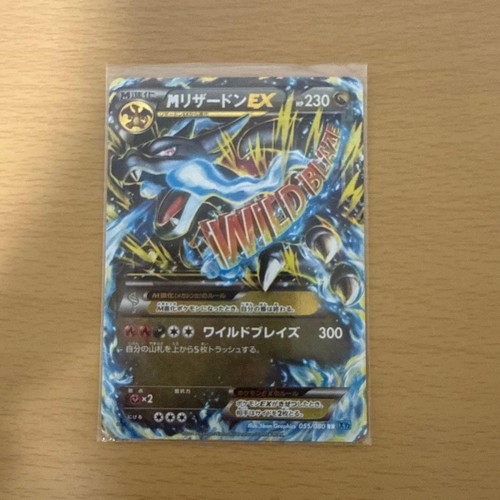 Pare M Charizard EX RR XY2 Wild Blaze 055 080 Japanese