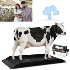 New Prime Scales PS-4KCS-R Cattle Scale | Livestock Scale  w/ Indicator