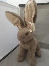 Sonoran Stuffed Jackrabbit Jack Rabbit 8" Resort Gifts With Paper Tag