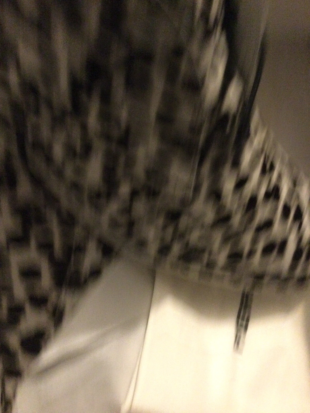 Bild 7 von 8