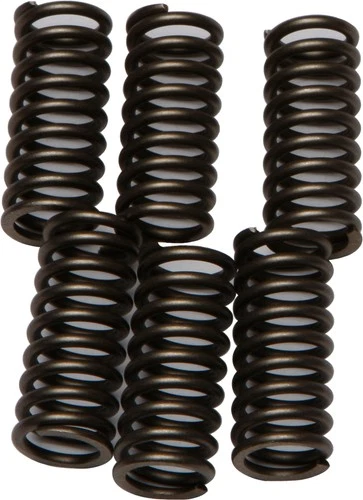 CSK Series Clutch Springs +15% EBC CSK102