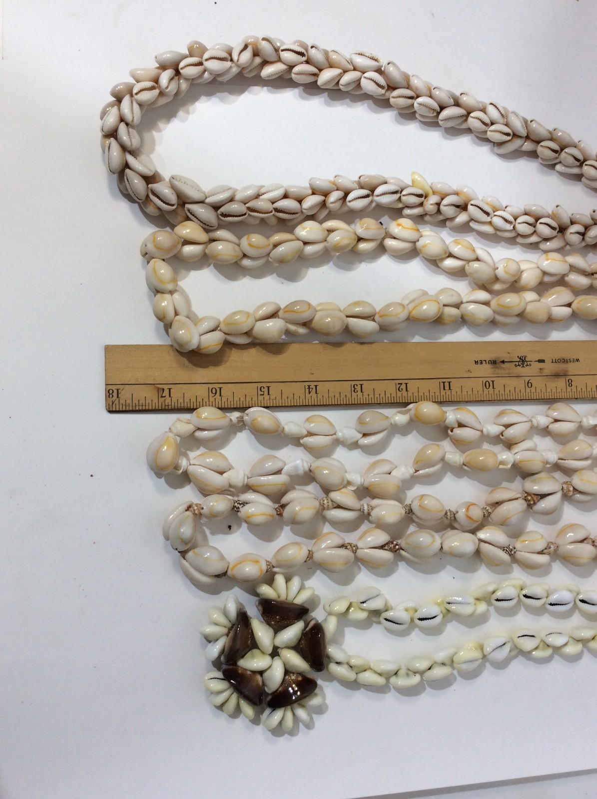 Five Large Seashell Necklaces - image 9