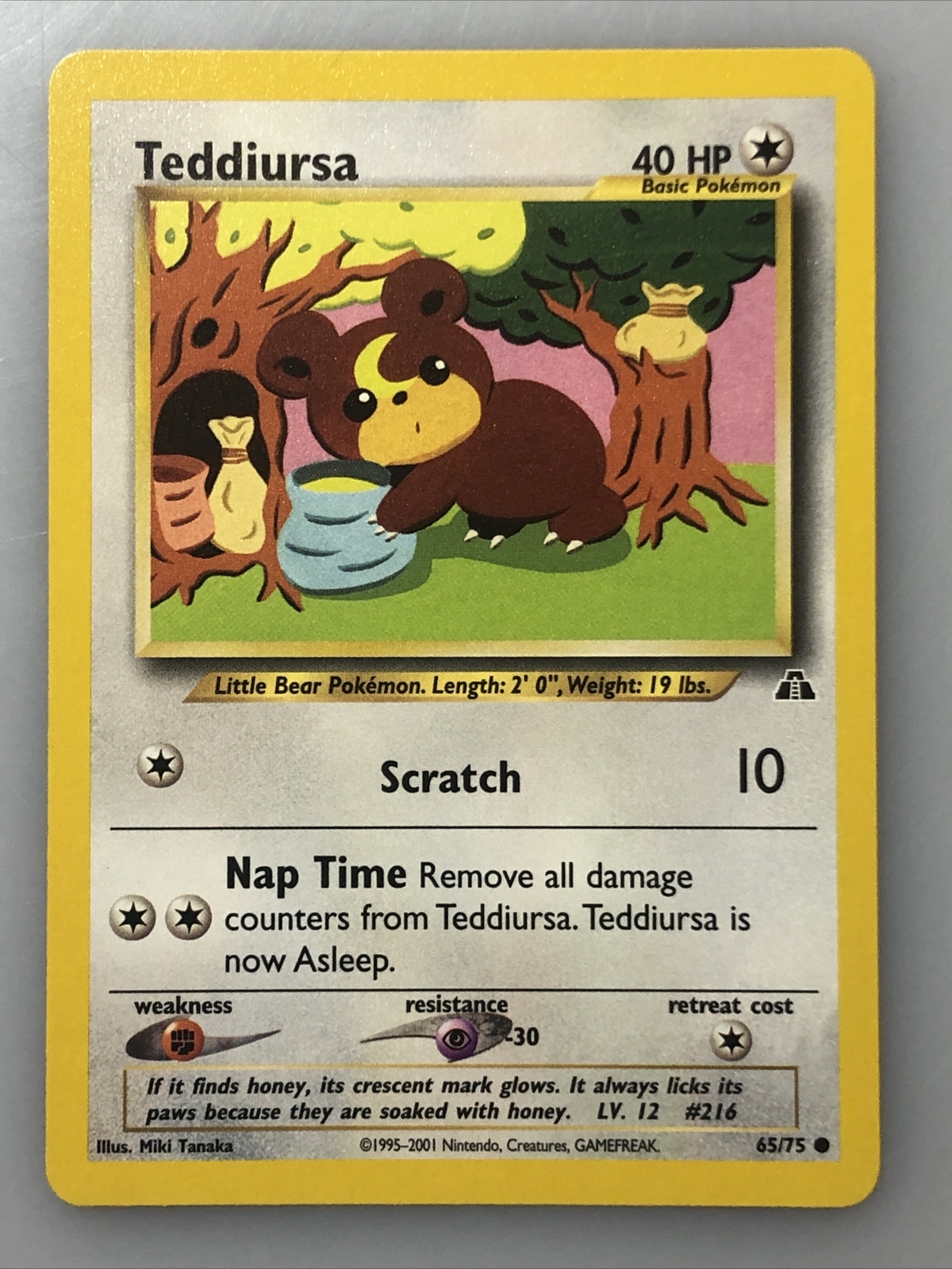Pokemon Card - Neo Discovery 65/75 - TEDDIURSA (common) - NM