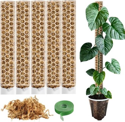 Moosstab für Monstera 5 Stück 39 x 6 cm - Erweiterbare Rankhilfe & Z