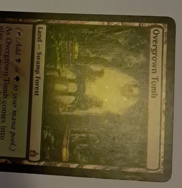Overgrown Tomb MP/HP Magic the Gathering Ravnica City of Guilds MTG - Image 3 of 4