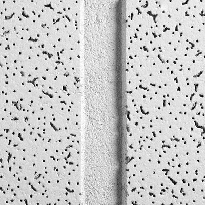 ARMSTRONG 2758C Ceiling Tile,48 in L,24 in W,PK8 32WM09