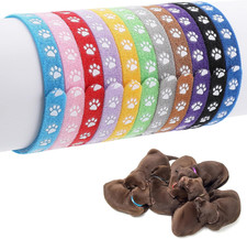 12 Stück Welpenhalsbänder, Wurfhalsbänder Für Kleine Welpen, Verstellbare Id-Hal